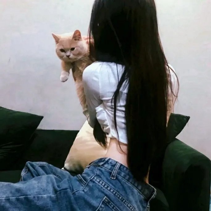 疯癫之翼